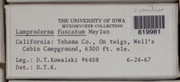 Image Associated With the Occurence